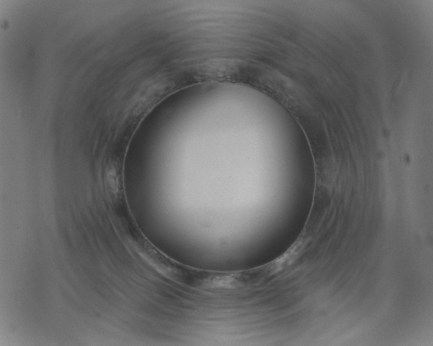 X0000074260086200609081747