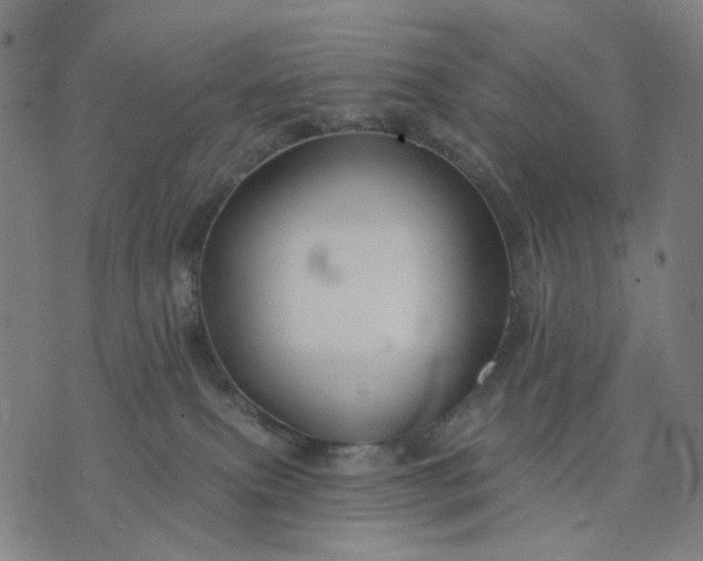 X0000074260087200609081747