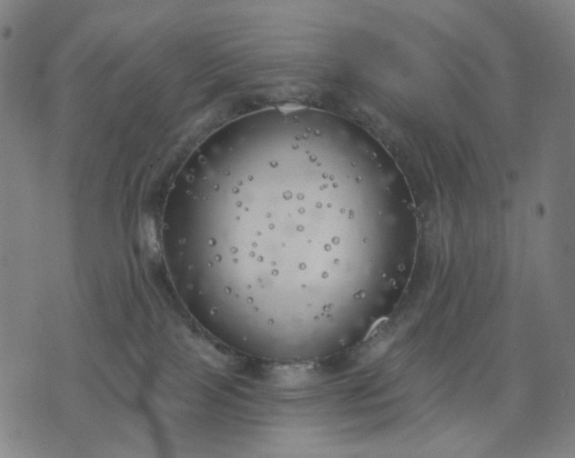 X0000074260089200609081747