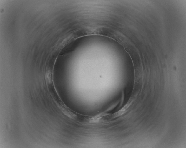 X0000074260090200609081747