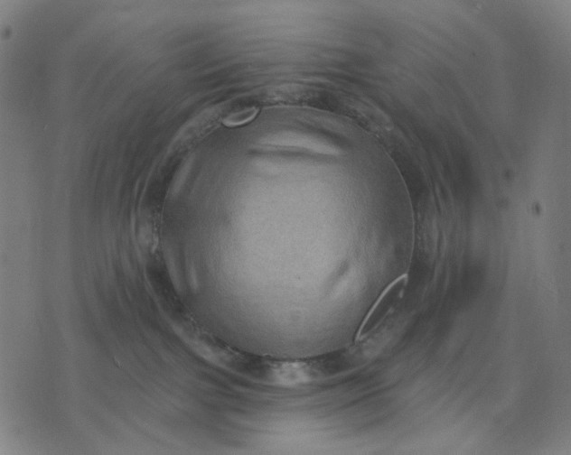 X0000074260091200609081747