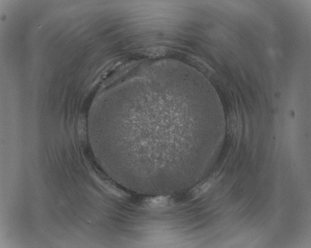 X0000074260092200609081747