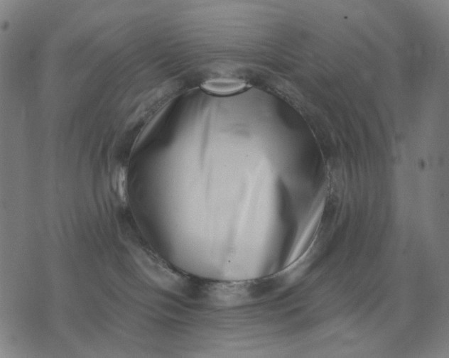 X0000074260094200609081747