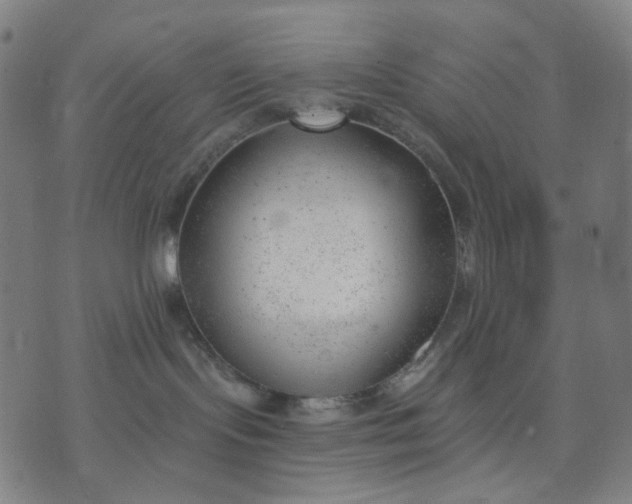 X0000074260095200609081747