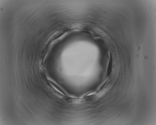 X0000074260096200609081747