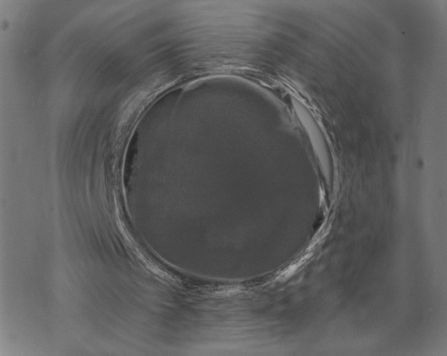 X0000074260097200609081746