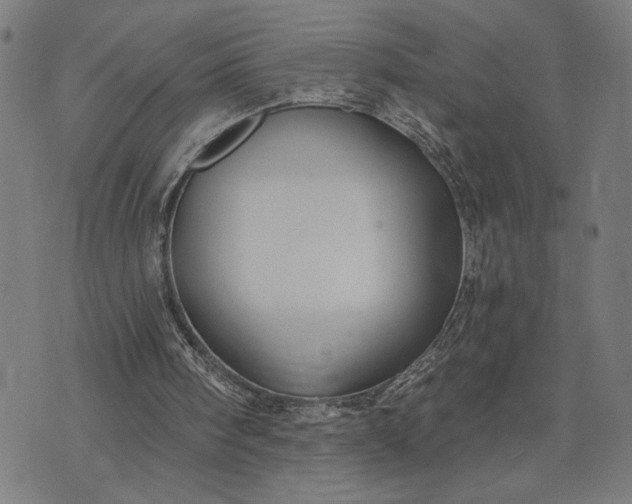 X0000074260098200609081746