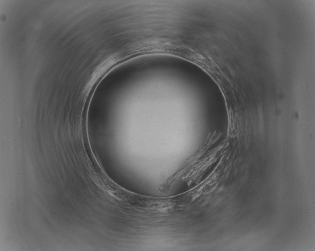 X0000074260099200609081746