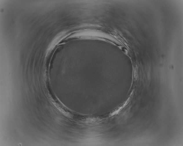 X0000074260101200609081746