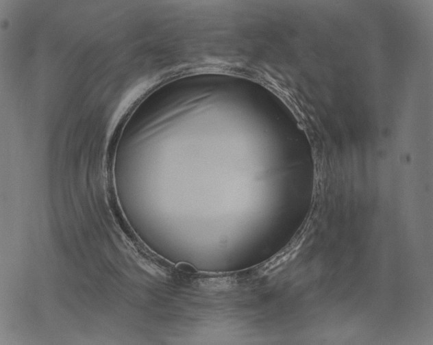 X0000074260102200609081746