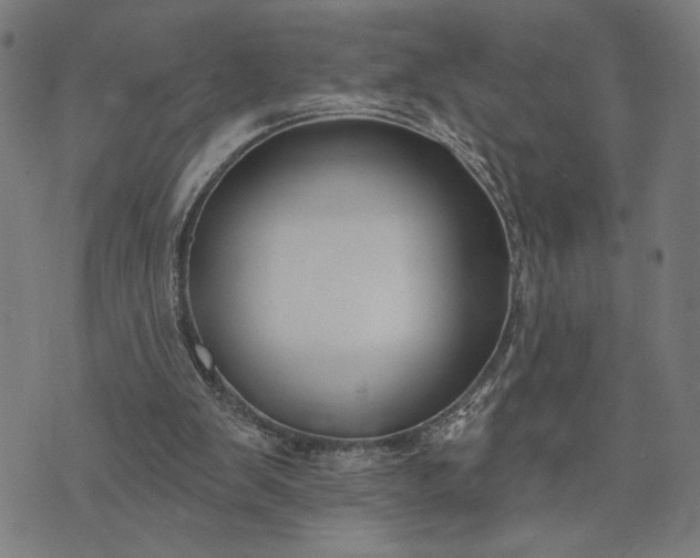 X0000074260103200609081746