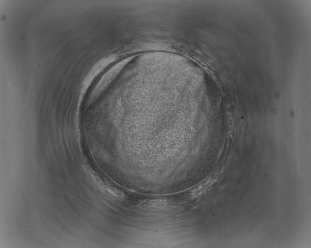 X0000074260104200609081746