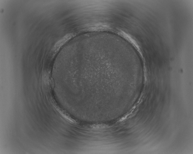 X0000074260105200609081746