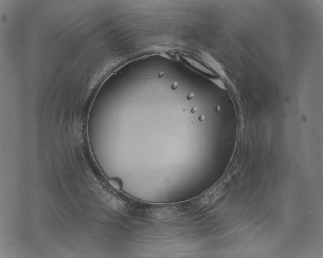 X0000074260106200609081746