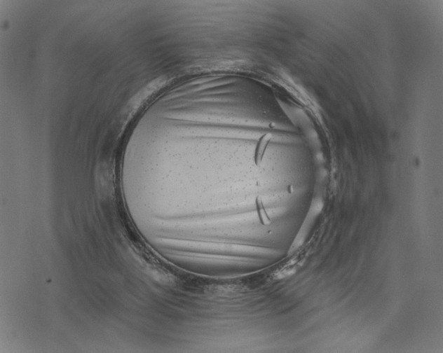 X0000074260107200609081746