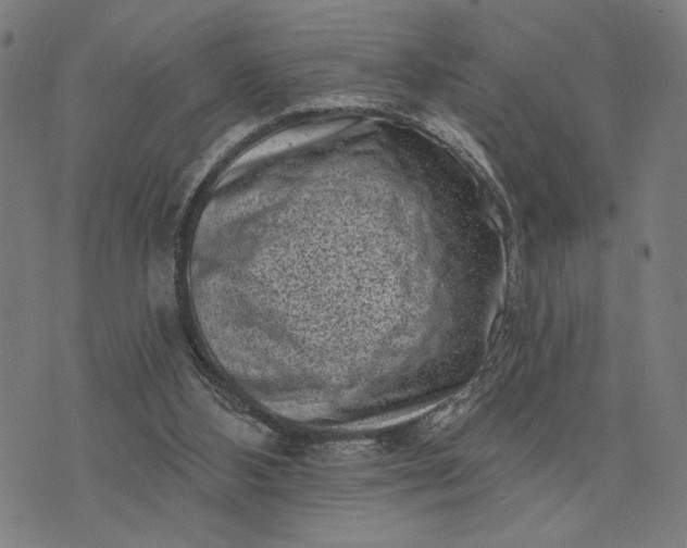 X0000074260108200609081746