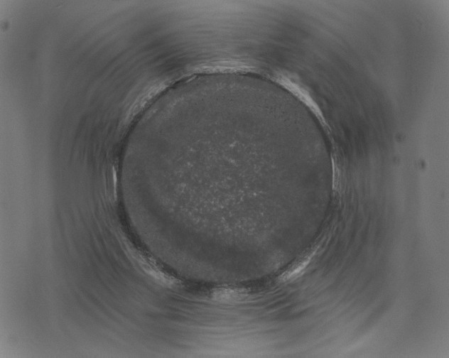 X0000074260109200609081746