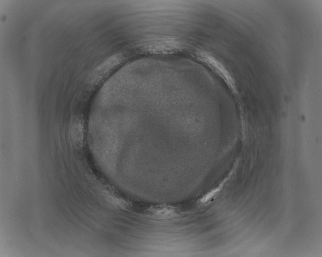 X0000074260113200609081746