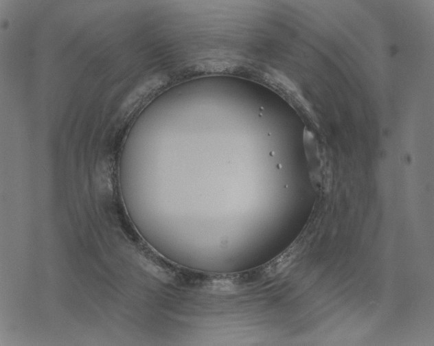 X0000074260114200609081746