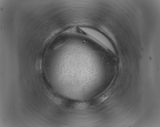 X0000074260115200609081746