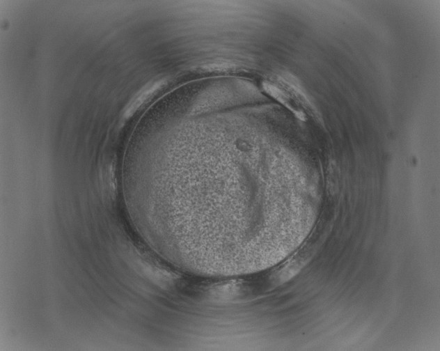 X0000074260116200609081746