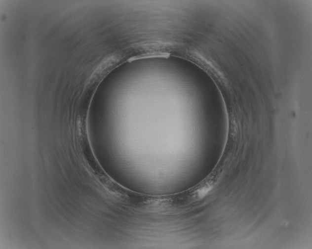 X0000074260117200609081746