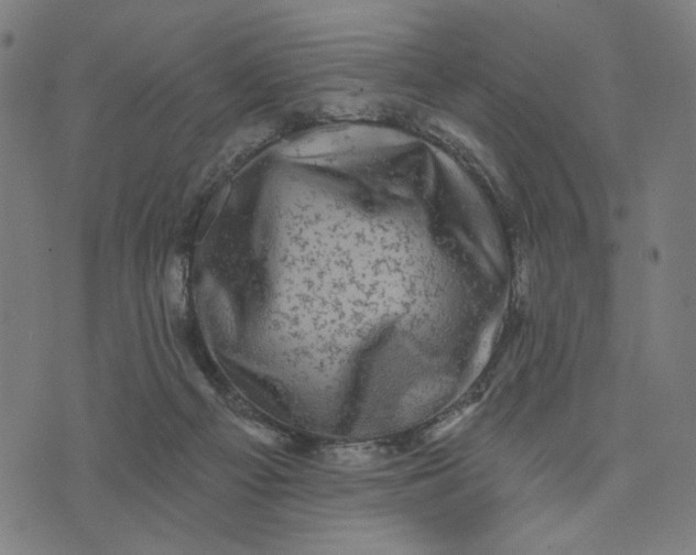 X0000074260121200609081746