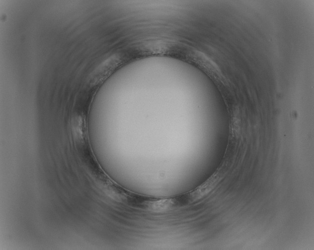 X0000074260122200609081746