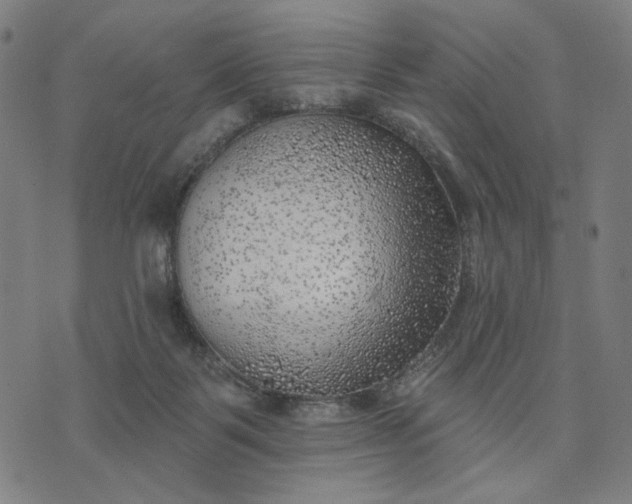 X0000074260123200609081746