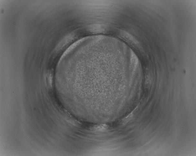 X0000074260124200609081746