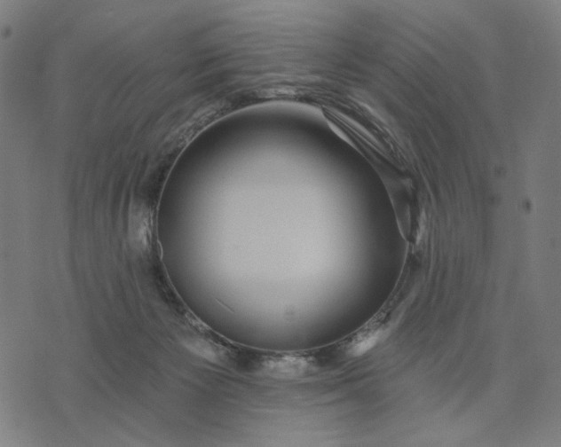 X0000074260125200609081746