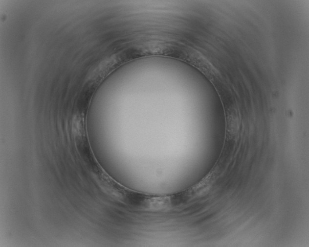 X0000074260126200609081746