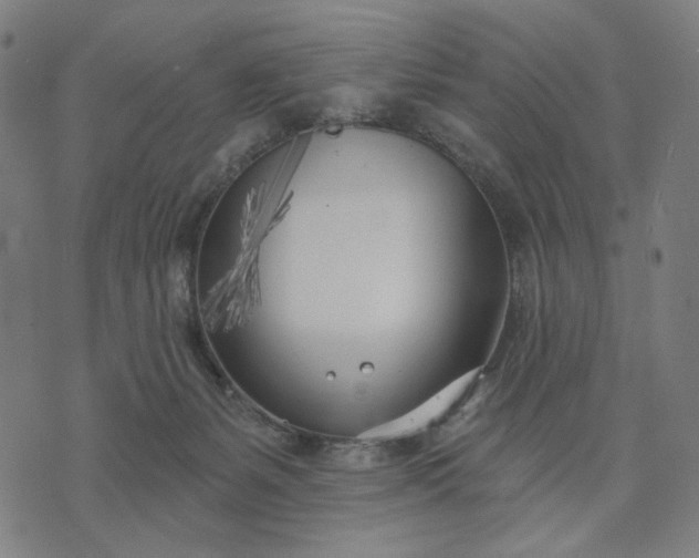 X0000074260127200609081746