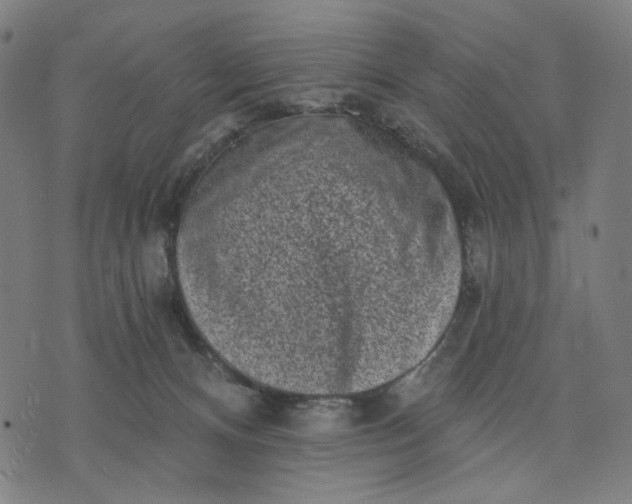 X0000074260128200609081746