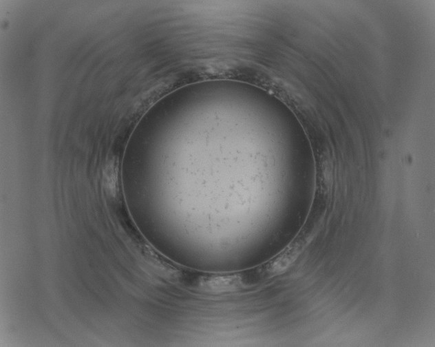 X0000074260129200609081746