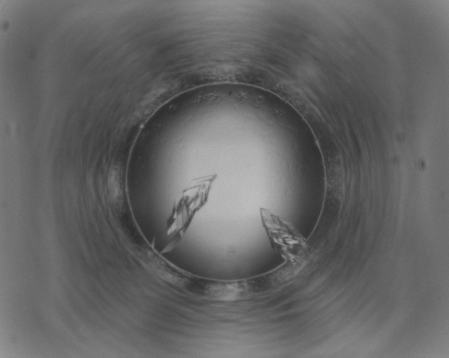 X0000074260131200609081746