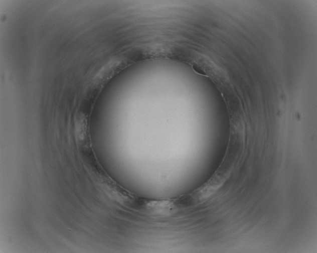 X0000074260133200609081746