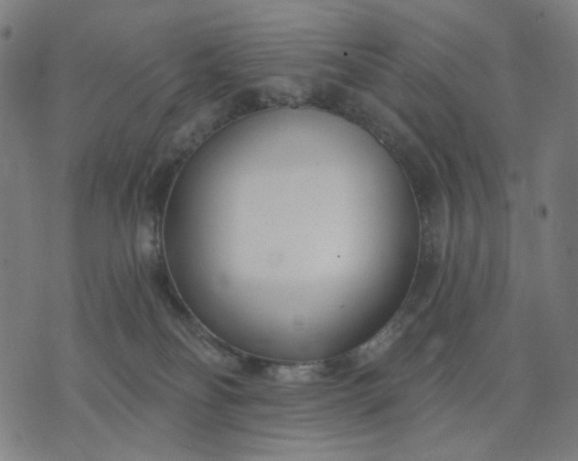 X0000074260134200609081745