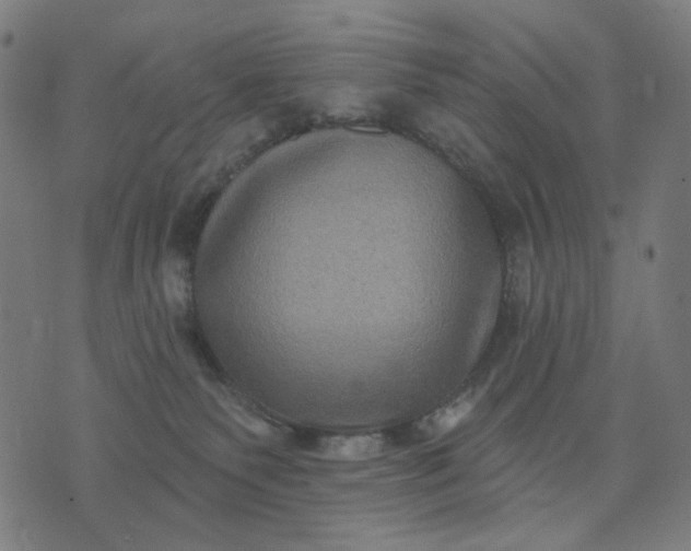 X0000074260135200609081745