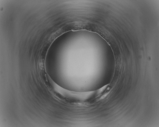 X0000074260137200609081745