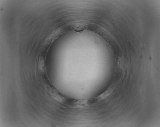 X0000074260138200609081745