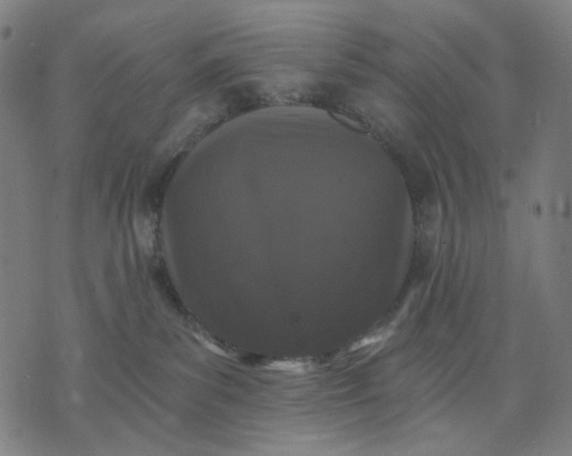 X0000074260139200609081745