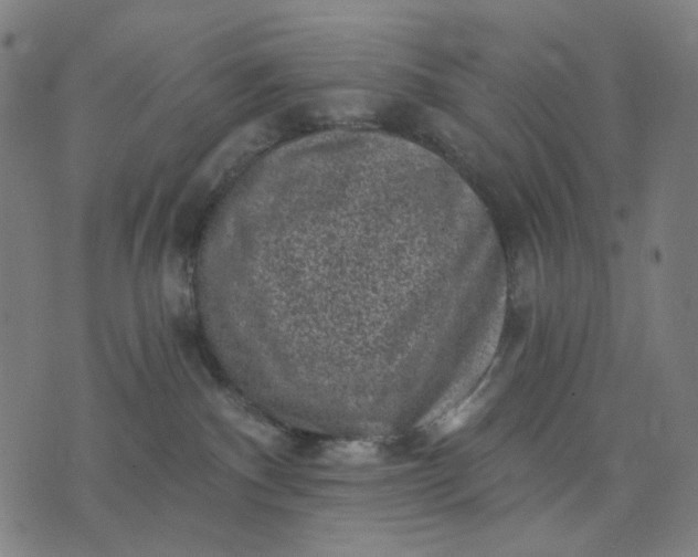 X0000074260140200609081745