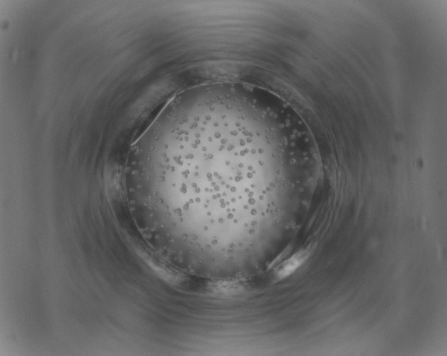 X0000074260141200609081745