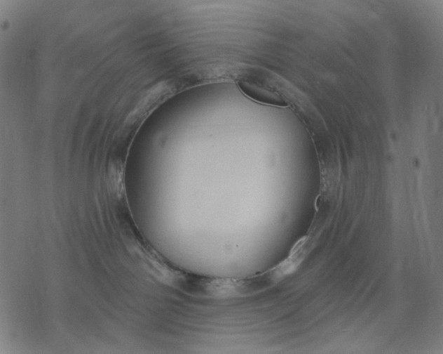 X0000074260142200609081745