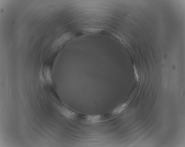 X0000074260143200609081745