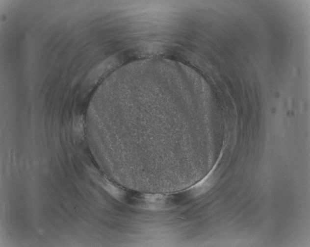 X0000074260144200609081745