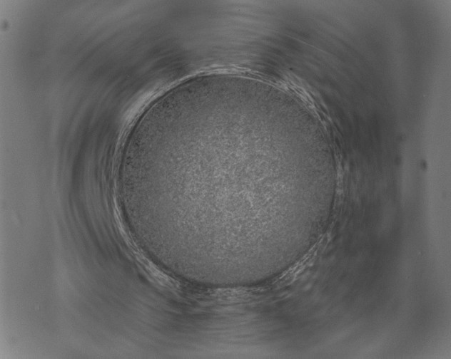 X0000074260145200609081745