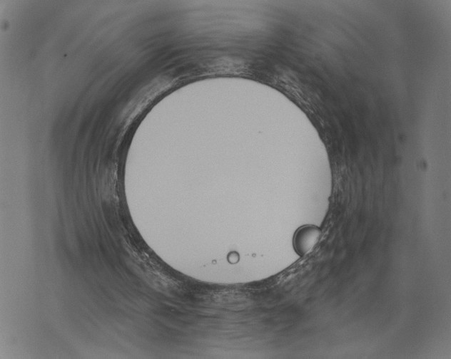 X0000074260146200609081745