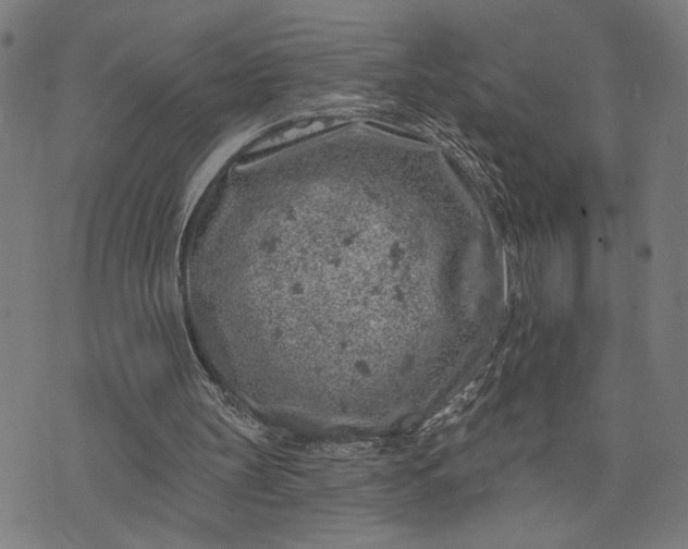 X0000074260147200609081745